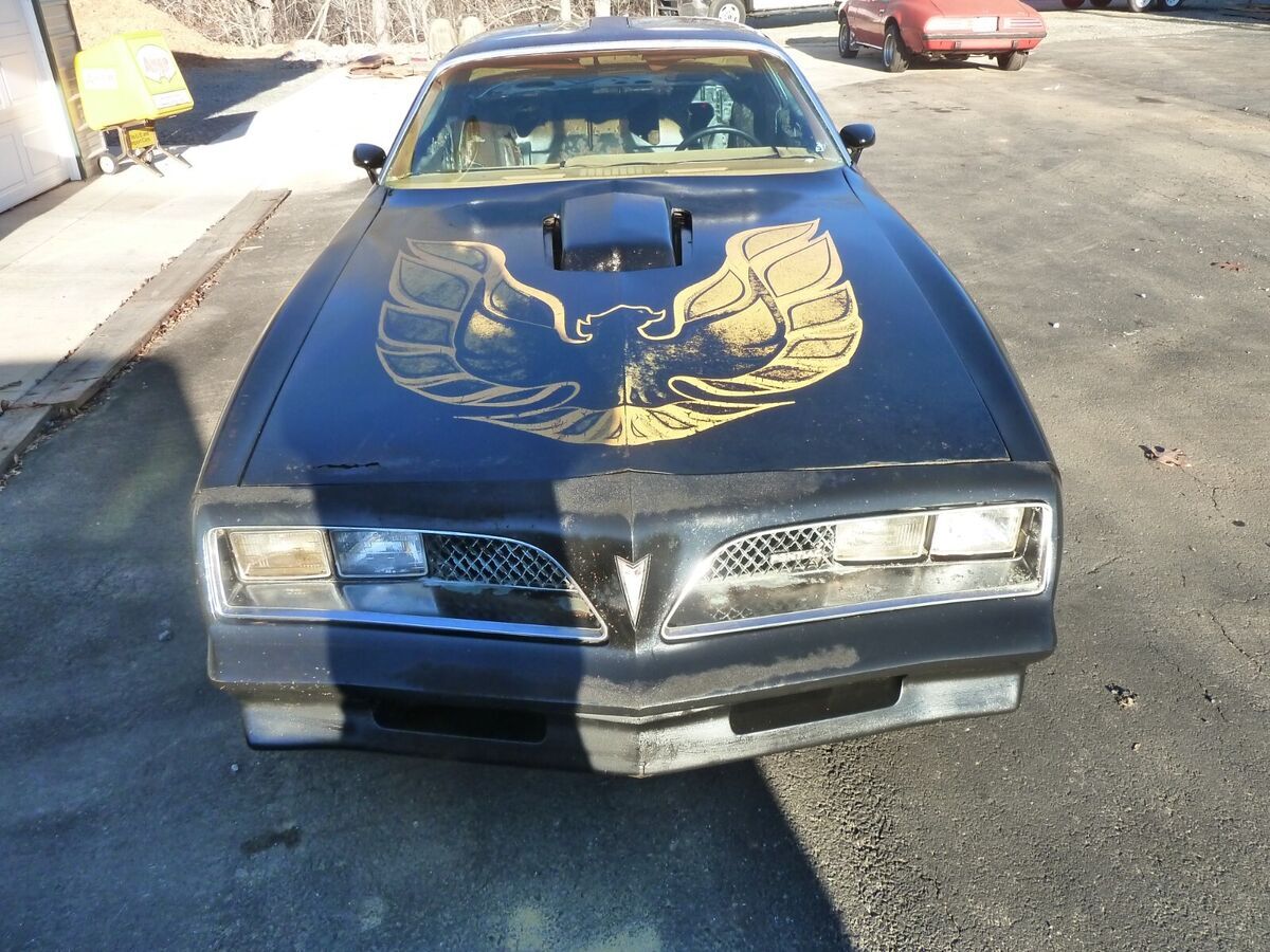 1978 Pontiac Trans Am - photo 4