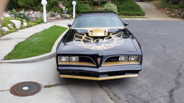 1978 Pontiac Trans Am Macho T/A Turbo - photo 10