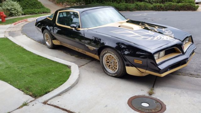 1978 Pontiac Trans Am Macho T/A Turbo - photo 11