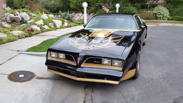 1978 Pontiac Trans Am Macho T/A Turbo - photo 12
