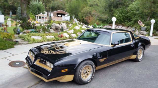 1978 Pontiac Trans Am Macho T/A Turbo - photo 13