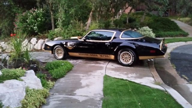 1978 Pontiac Trans Am Macho T/A Turbo - photo 2