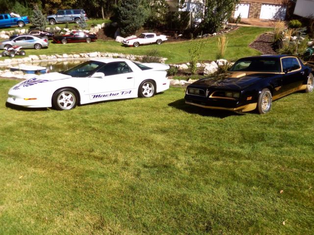 1978 Pontiac Trans Am Macho T/A Turbo - photo 4