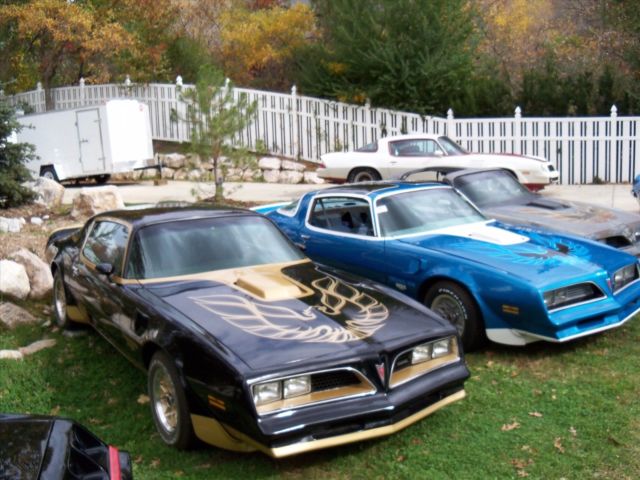 1978 Pontiac Trans Am Macho T/A Turbo - photo 5