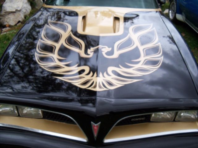 1978 Pontiac Trans Am Macho T/A Turbo - photo 7
