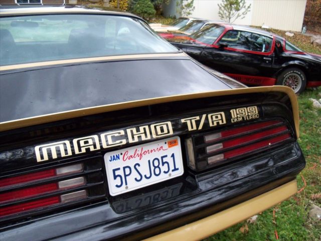 1978 Pontiac Trans Am Macho T/A Turbo - photo 8