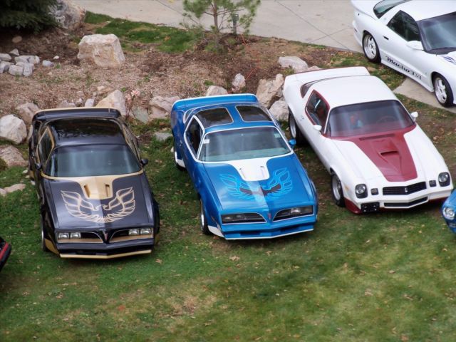1978 Pontiac Trans Am Macho T/A Turbo - photo 9