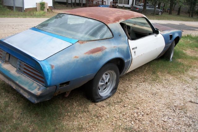 1978 Pontiac Trans Am trans am - photo 3