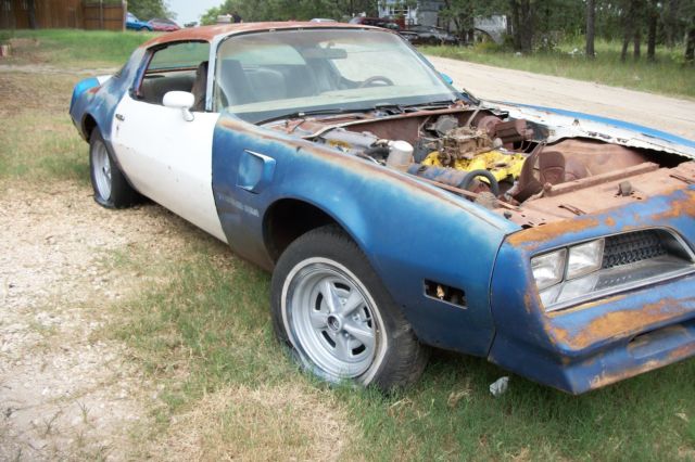 1978 Pontiac Trans Am trans am - photo 4