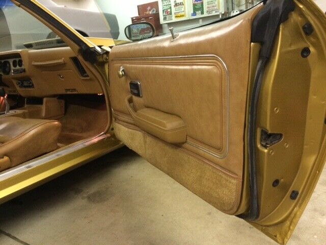 1978 Pontiac Trans Am - photo 8