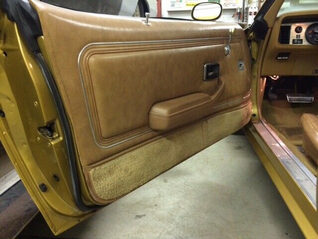 1978 Pontiac Trans Am - photo 9