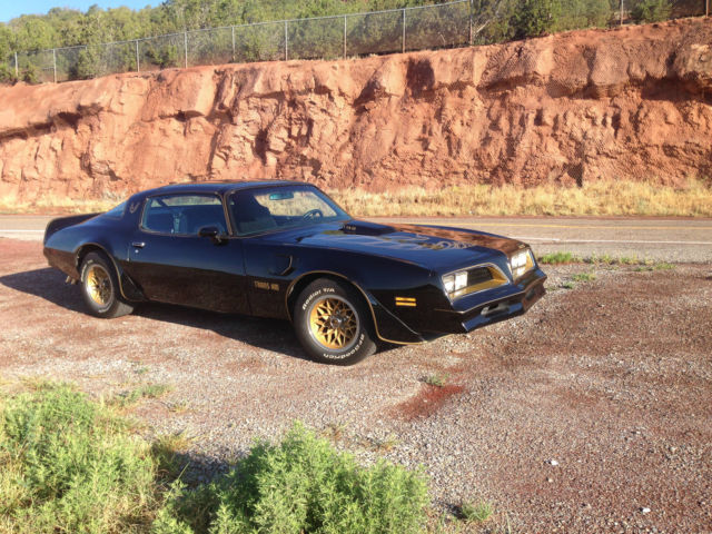 1978 Pontiac Trans Am Special Edition - photo 6