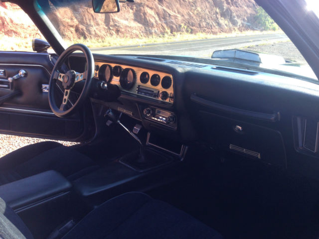 1978 Pontiac Trans Am Special Edition - photo 7