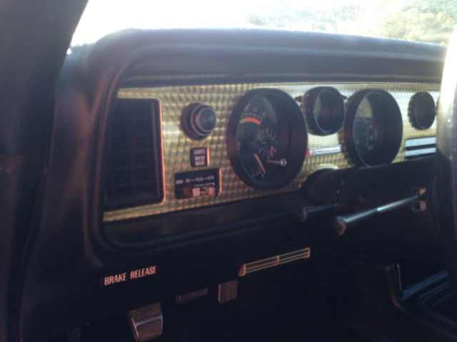 1978 Pontiac Trans Am Special Edition - photo 8