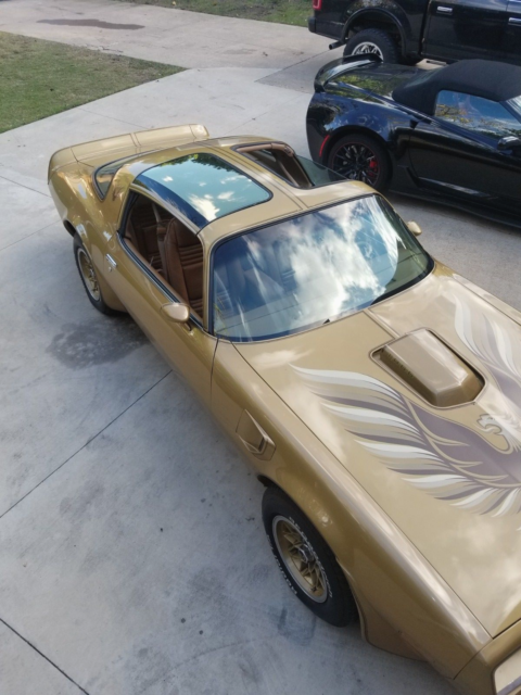 1978 Pontiac Trans Am WS6 / Y88 - photo 4