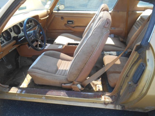 1978 Pontiac Firebird Trans Am - photo 11