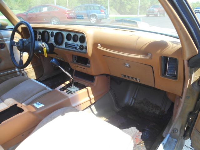 1978 Pontiac Firebird Trans Am - photo 12