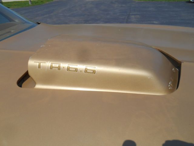 1978 Pontiac Firebird Trans Am - photo 13