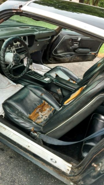 1978 Pontiac Trans Am - photo 8