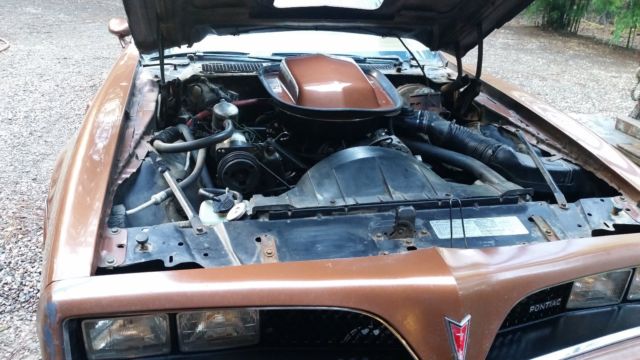 1978 Pontiac Trans Am - photo 13