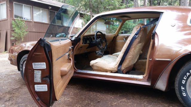 1978 Pontiac Trans Am - photo 4
