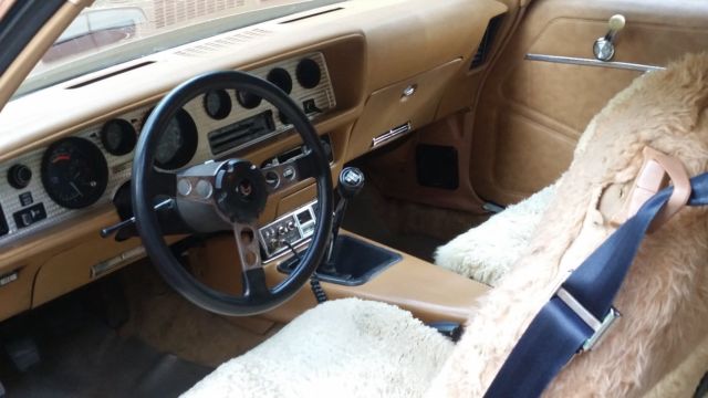 1978 Pontiac Trans Am - photo 5