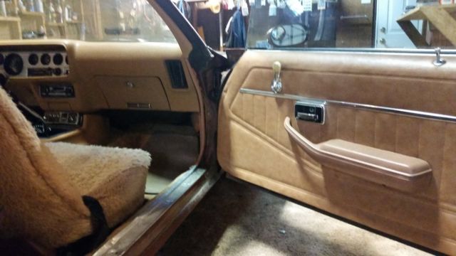 1978 Pontiac Trans Am - photo 8