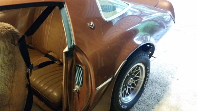1978 Pontiac Trans Am - photo 9