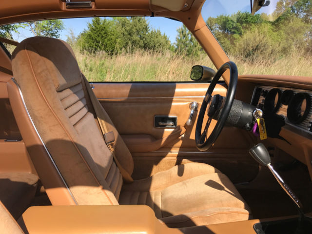 1978 Pontiac Trans Am - photo 8