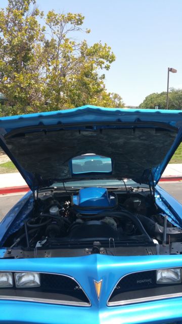 1978 Pontiac Trans Am - photo 2