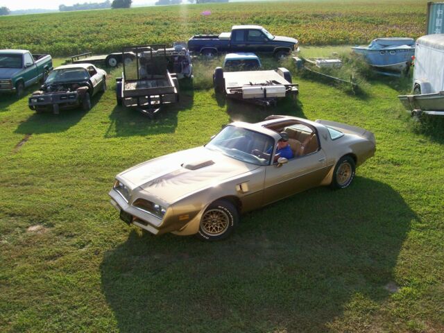 1978 Trans Am Y88 1978 Pontiac Trans Am Y88