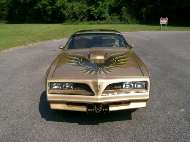 1978 Pontiac Trans Am Y88 - photo 5