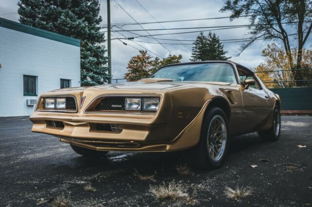 1978 Pontiac Trans Am - photo 8