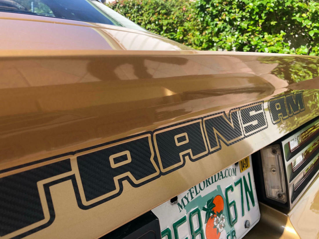 1978 Pontiac Trans Am Gold Special Edition - photo 9