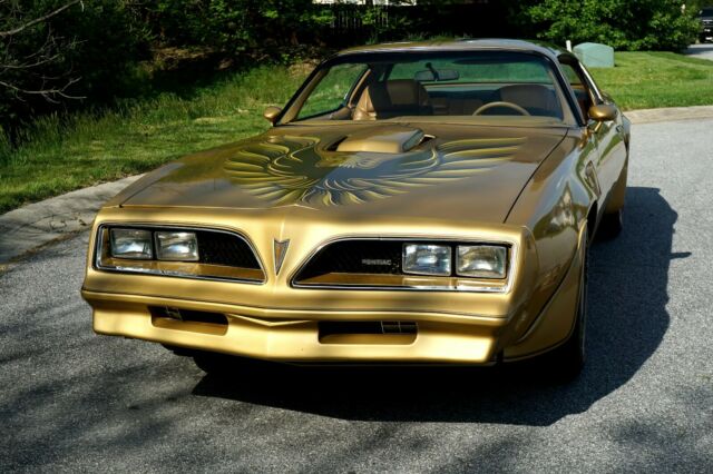1978 Pontiac Trans Am Y88 Gold SE - photo 2