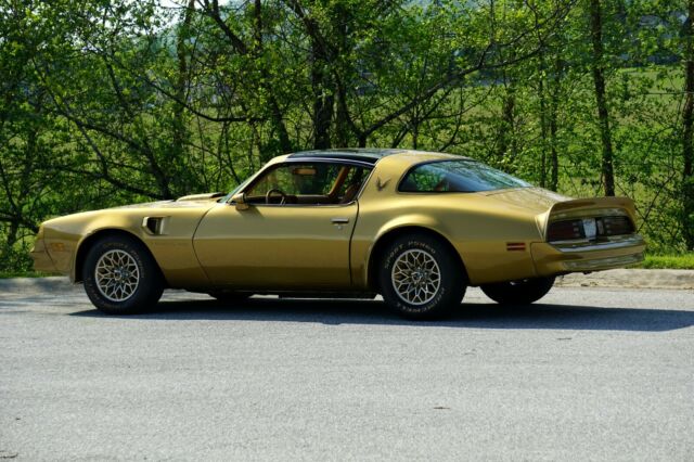 1978 Pontiac Trans Am Y88 Gold SE - photo 6