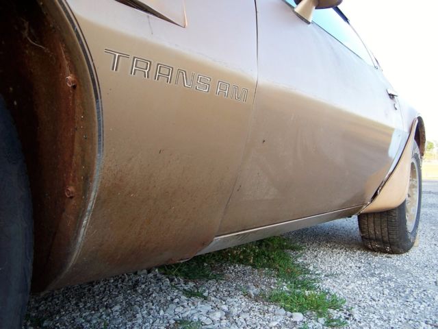 1978 Pontiac Trans Am y88 special edition se - photo 13