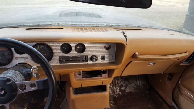 1978 Pontiac Trans Am - photo 11