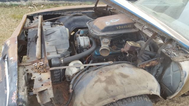 1978 Pontiac Trans Am - photo 12
