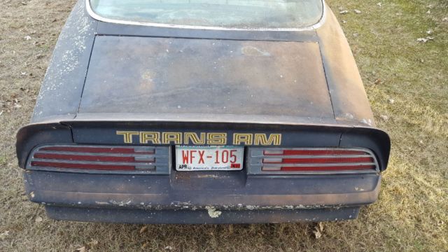 1978 Pontiac Trans Am - photo 2