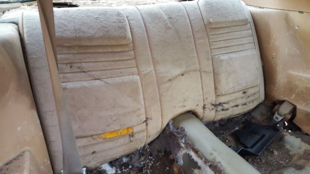 1978 Pontiac Trans Am - photo 5