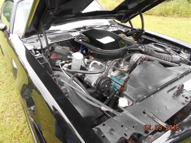 1978 Pontiac Trans Am - photo 10