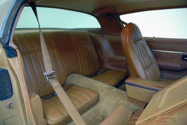 1978 Pontiac Firebird - photo 9