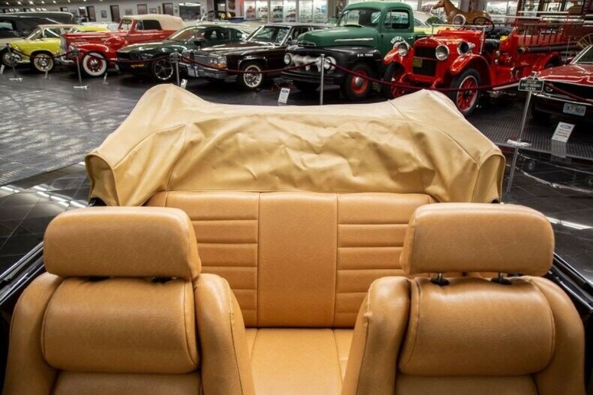 1978 Volkswagen Beetle-New Convertible - photo 9