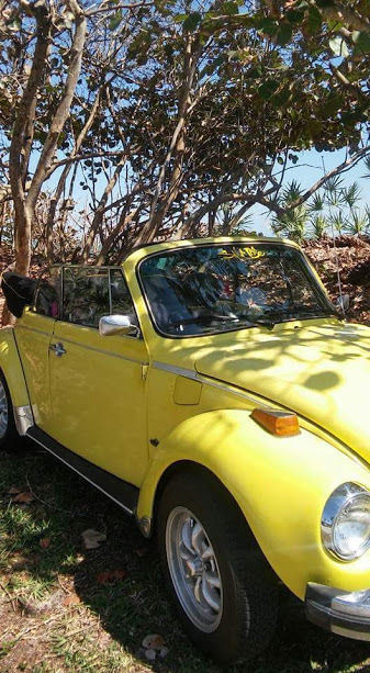1978 Volkswagen Beetle - Classic Champagne Edition - photo 2