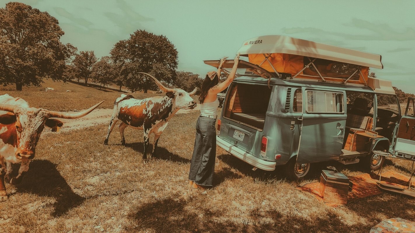 1978 Volkswagen Bus/Vanagon Riviera - photo 5