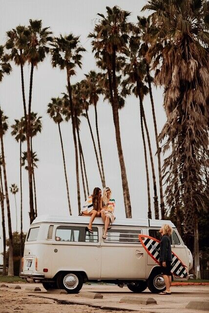 1978 Volkswagen Westfalia Bus 1978 Volkswagen Bus/Vanagon