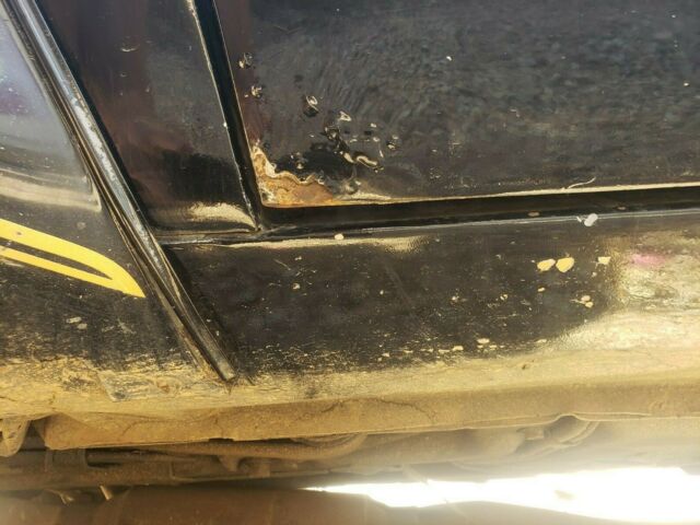 1978 Pontiac Trans Am - photo 12