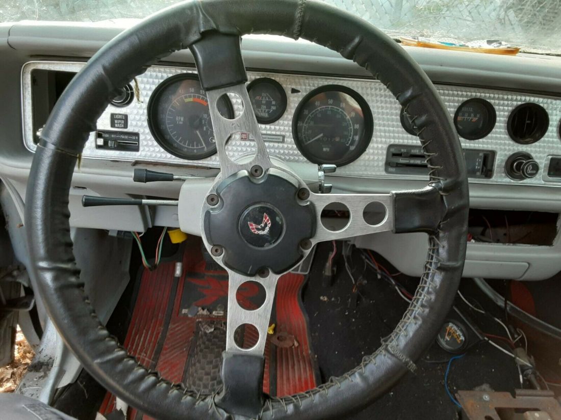 1979 Pontiac Trans Am 10th Anniversary Edition - photo 11