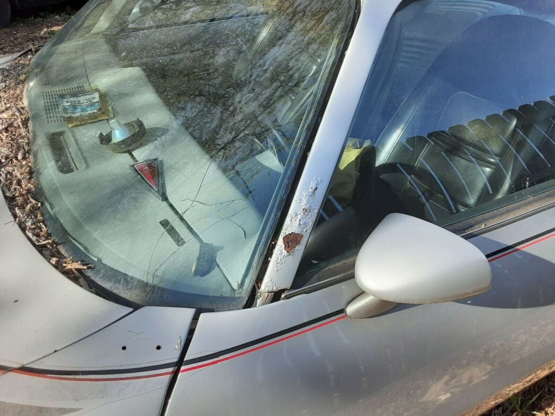 1979 Pontiac Trans Am 10th Anniversary Edition - photo 13